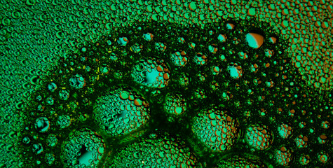 The Artistic Harmony of Color, Pattern, and Texture in Design