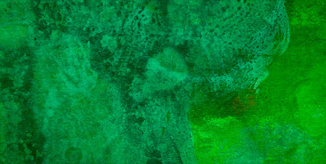 The Artistic Harmony of Color, Pattern, and Texture in Design