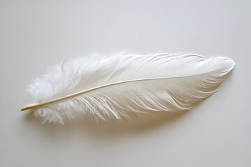 Obraz premium On a white backdrop, a white feather isolated. Generative Ai