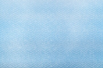 蛇の模様　背景