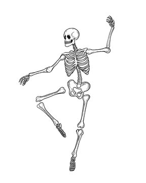 recommend clip art: コミカルなポーズで立っている骸骨のイラスト　白背景の切り抜き