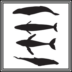 Whale silhouette illustration set, whale clipart