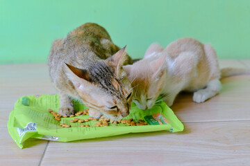 Two adorable cats sharing a meal from a green bag of cat food.
