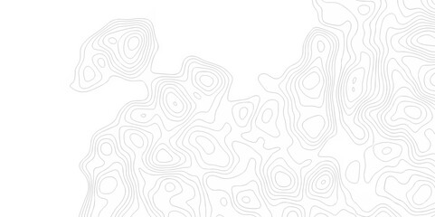 Abstract pattern with lines. Abstract sea map geographic contour map and topographic contours map background. Abstract white pattern topography vector background. Topographic line map background.