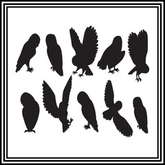 Collection of owls silhouette isolated on white background