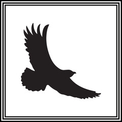 Vector silhouette of eagle bird