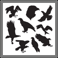 
Silhouette set of eagle bird, wildlife animal