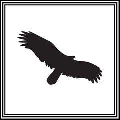Falcon vector illustration
