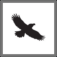 Flying hawk silhouette illustration