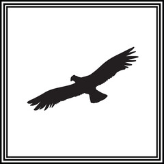 Flying falcon illustration isolated on white background