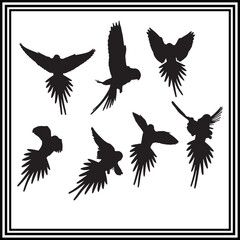 A set of flying bird silhouette, birds silhouette illustration