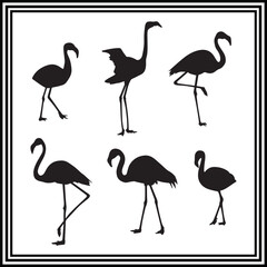Silhouettes set of american flamingos in different poses.