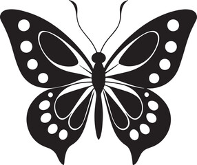 butterfly isolated on white background