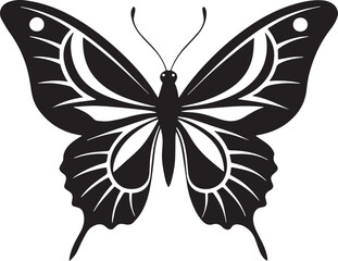  butterfly vector illustration is design 