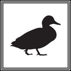 A goose walking silhouette isolated on white background