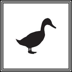 Duck goose silhouette illustration