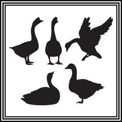 Black set silhouette of goose illustration