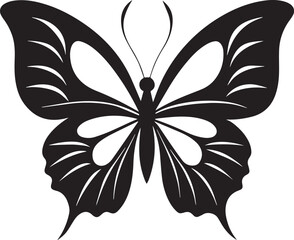 butterfly vector illustration design 