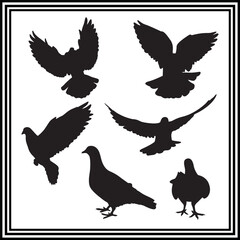 Obraz premium Flying dove vector illustration set