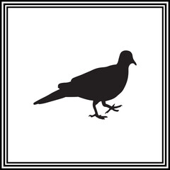 A silhouette of a cute pigeon
