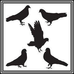 Dove silhouette illustration  set on white bakground