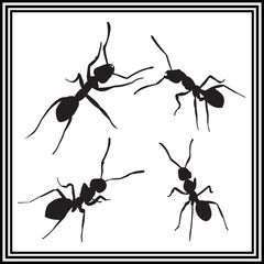 
Ant silhouette illustration set on white background.