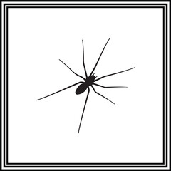 Spider silhouette  illustration, wildlife illustration.