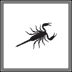 Vector scorpion silhouette on white background, animal silhouette.