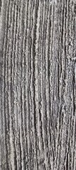 Fototapeta premium texture of a wood floor, Old gray wood texture