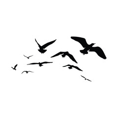 vector illustration of silhouettes of seagulls flying in flocks