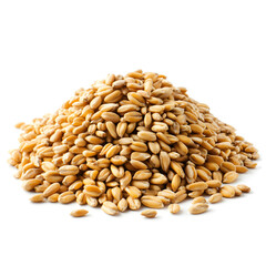  Pile of expanded wheat isolated on white background