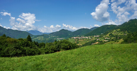 Naklejka premium livemmo