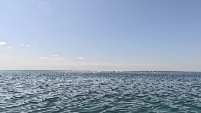 Sea Ocean Horizon View - Calm blue water with a horizon line and some distant white clouds in the blue sky.