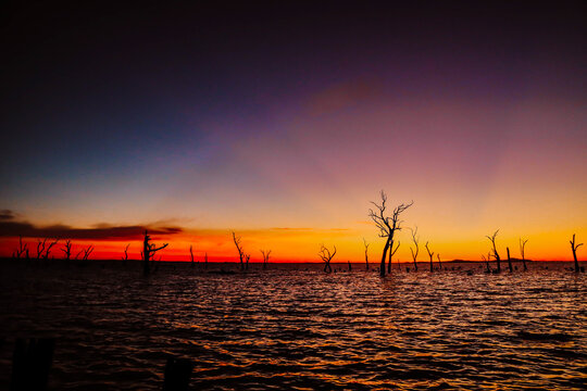 Vibrant orange sunset over the water at Kow Swamp, Victoria with silhouette of dead trees