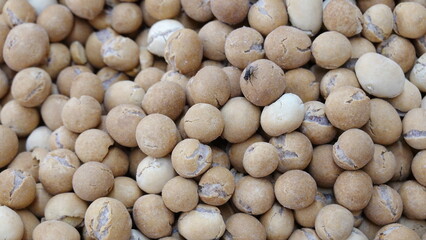 Peas Appear Naturally Close View Brown Color Light Background