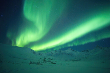 Aurora in eiskalter Nacht in  Tromsö