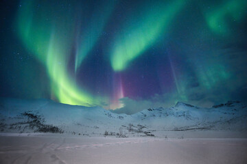 Aurora in eiskalter Nacht in  Tromsö