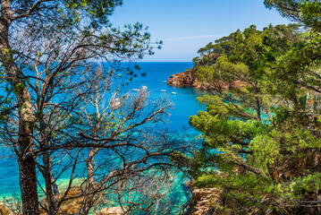 Obraz premium Cala de Aiguablava, Begur, Catalonia, Spain