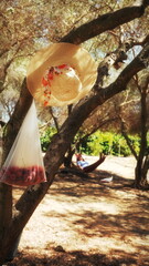 Tree Shows Hanging Summer Hat Bag Outdoor Sunlight Bright