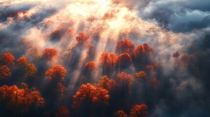 Naklejka premium fire in the sky