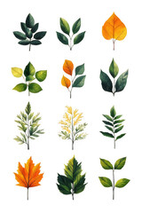 Nature's Palette, Fall Leaves Illustration with Botanical Texture On Transparent Background
