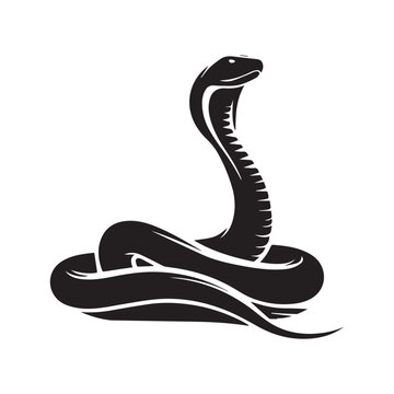 recommend clip art: Snake Vector illustration in black and white - Snake Reptile silhouette Design
                    