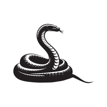 recommend clip art: Snake Vector illustration in black and white - Snake Reptile silhouette Design
                    