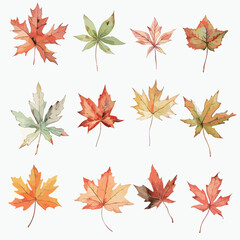 Fototapeta premium Various fallen leaves, autumn fruits, autumn leaves, autumn, fallen leaves