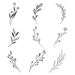 Leaf line drawing for decoration, vector, illustration