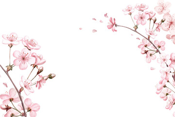 Spring cherry blossom png border, transparent background