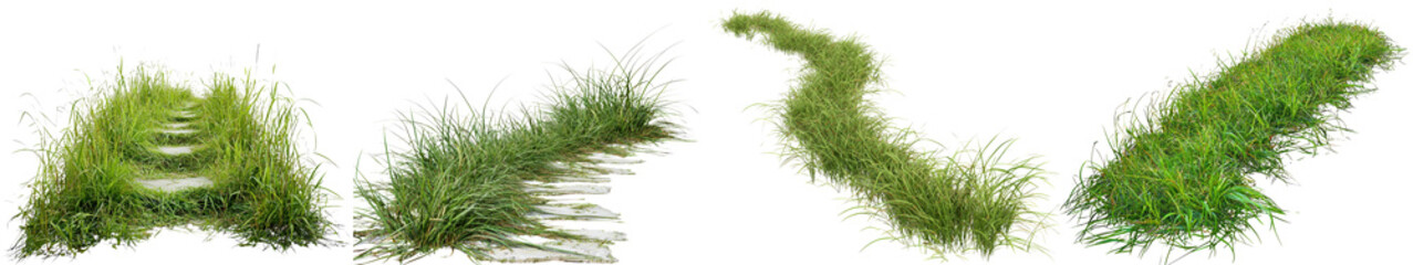 Fototapeta premium Various green grasses on a white isolated background.