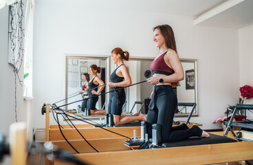 Fototapeta premium Two smiling fit-shaped females doing strength exercises using pilates reformer machine in the sport athletic gym with a mirror wall. Active people training or medical rehabilitation concept image.