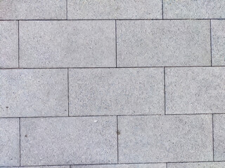 This setting features light gray paving stones laid out in a structured pattern, ideal for enhancing outdoor walkways