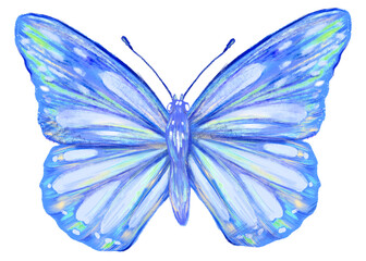 Blue butterfly png sticker, aesthetic design, transparent background